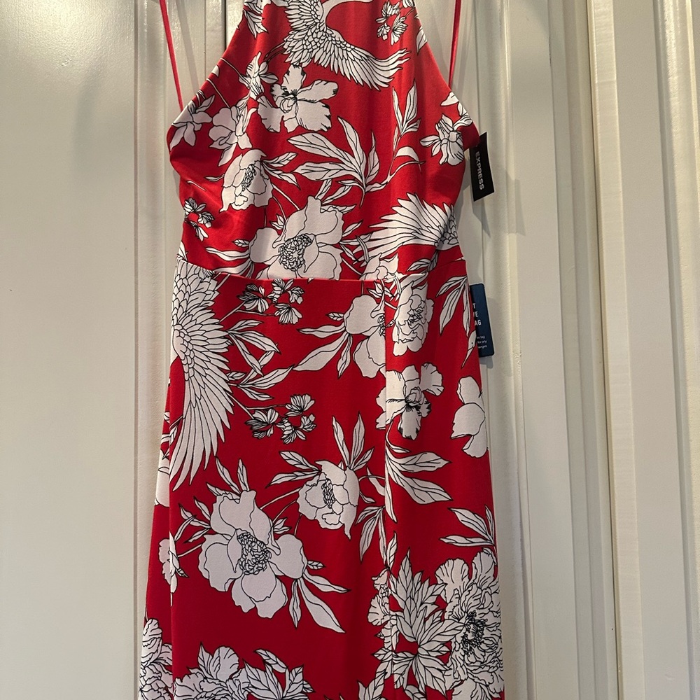 NWT 🍒 Express Red Floral and Crane Maxi Dress